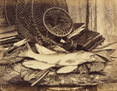 Trota, alborella, ecc. da Henry Bailey